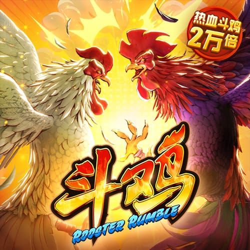 尼科：我希望继续在毕巴创造历史 希望以最大的努力回报球迷
